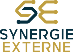 Logo SYNERGIE EXTERNE